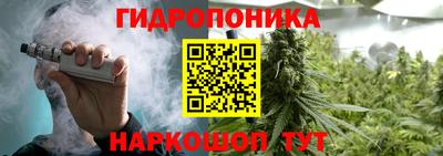 сатива Балаково