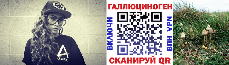 Галлюциногенные грибы мицелий  где купить наркоту  Брянск 