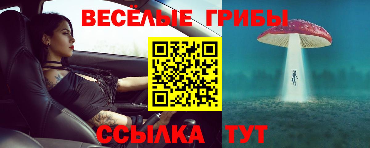 Псилоцибиновые грибы мицелий Брянск