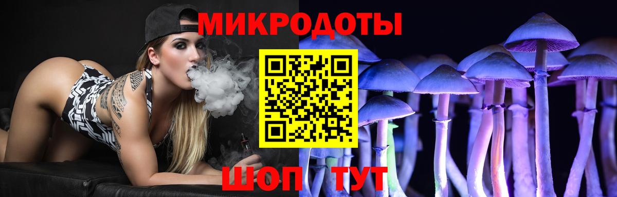 Псилоцибиновые грибы Psilocybe  Вход с VPN  Брянск 